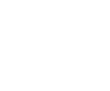 program-shape1